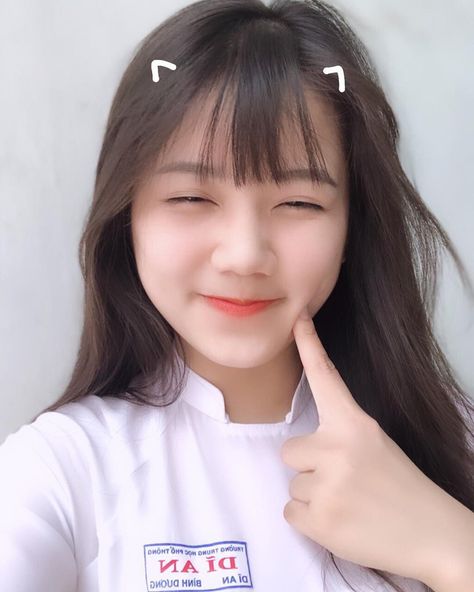 阁楼大象